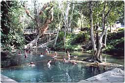 Hindad hot springs